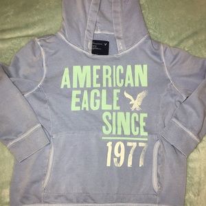 American Eagle Crop Top Hoodie